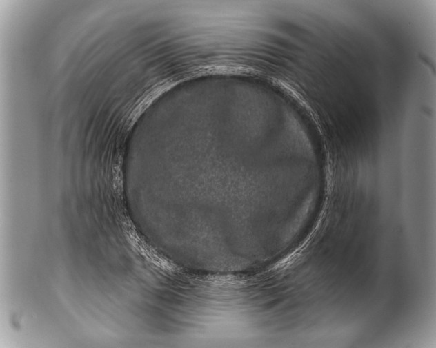 X0000100391025200806201709