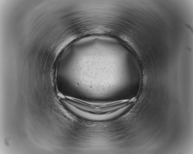 X0000100391026200806201709