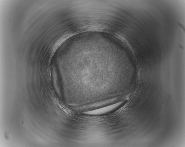 X0000100391027200806201709