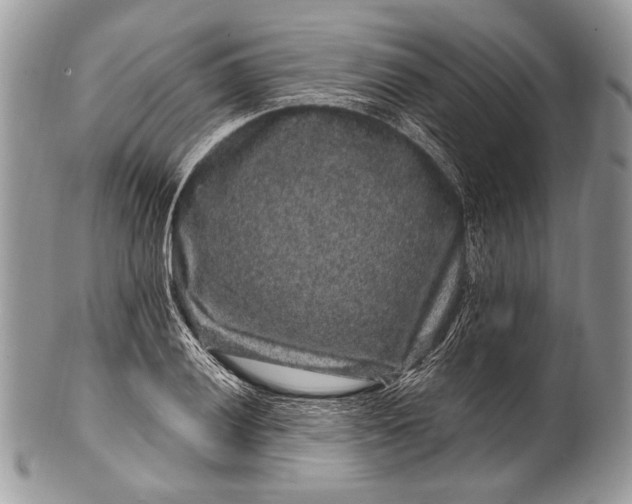 X0000100391028200806201709