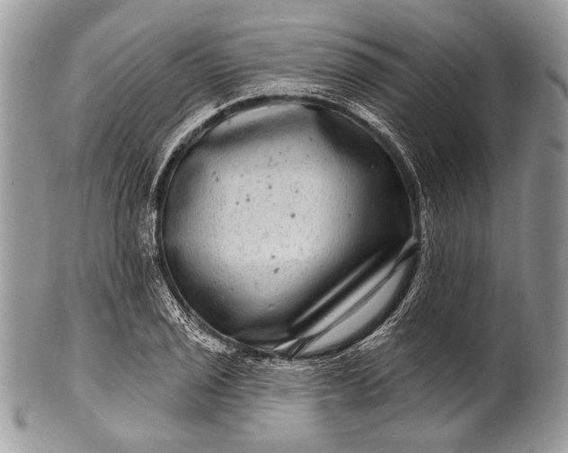 X0000100391029200806201709