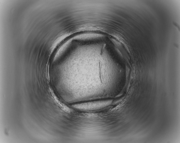 X0000100391030200806201709