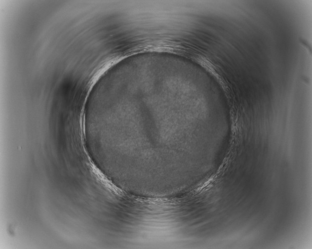 X0000100391032200806201709