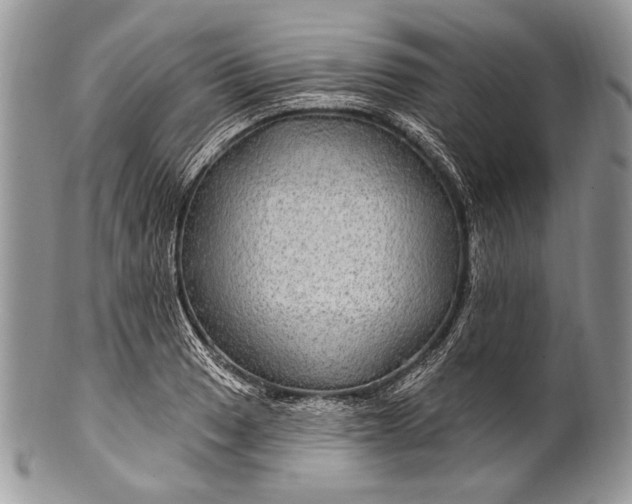 X0000100391033200806201709