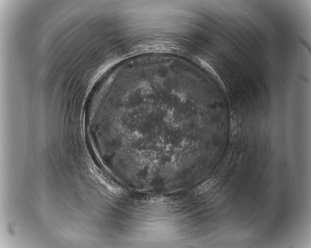 X0000100391035200806201709