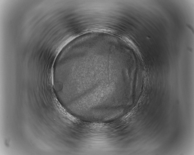 X0000100391036200806201709