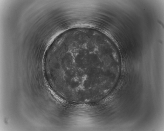 X0000100391037200806201709