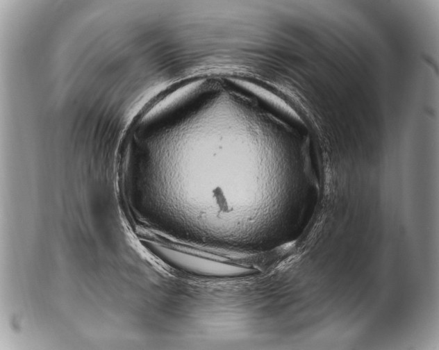 X0000100391038200806201709