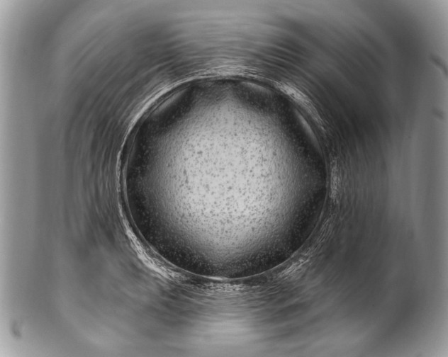 X0000100391039200806201709