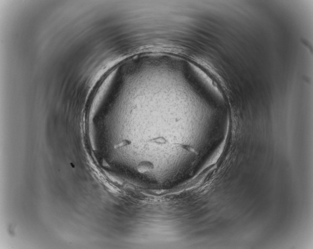 X0000100391040200806201709