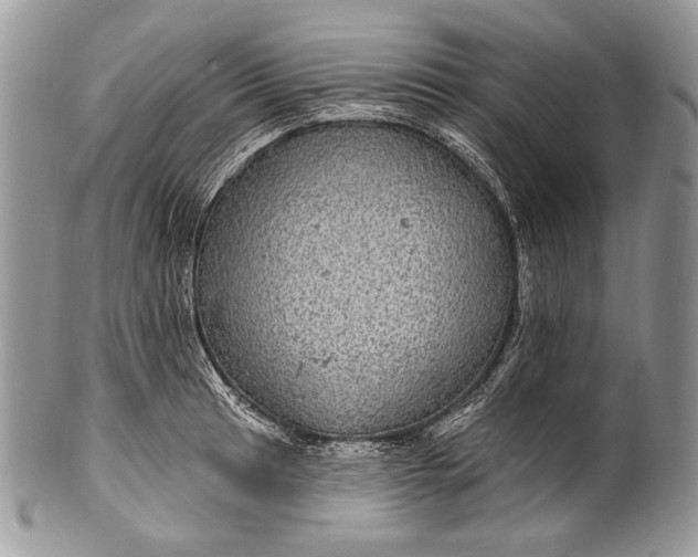 X0000100391041200806201709