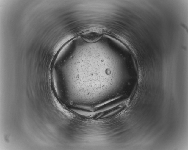 X0000100391042200806201709