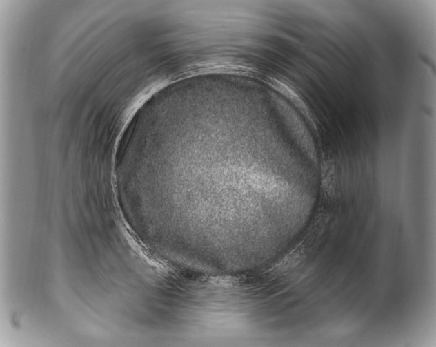 X0000100391043200806201709