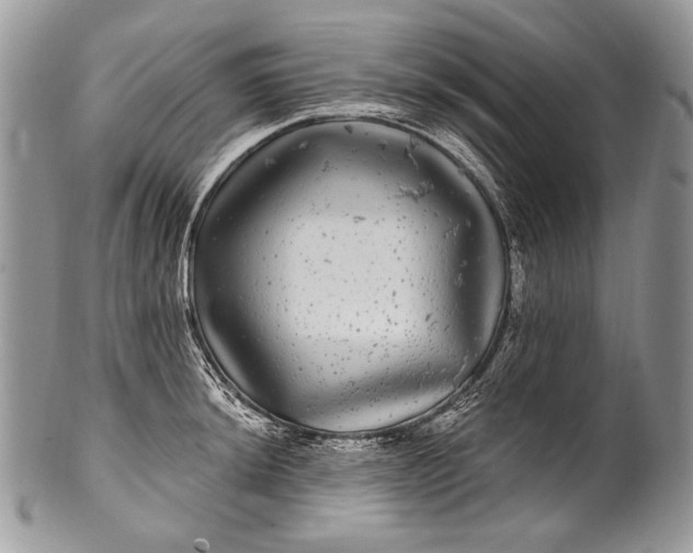 X0000100391044200806201709