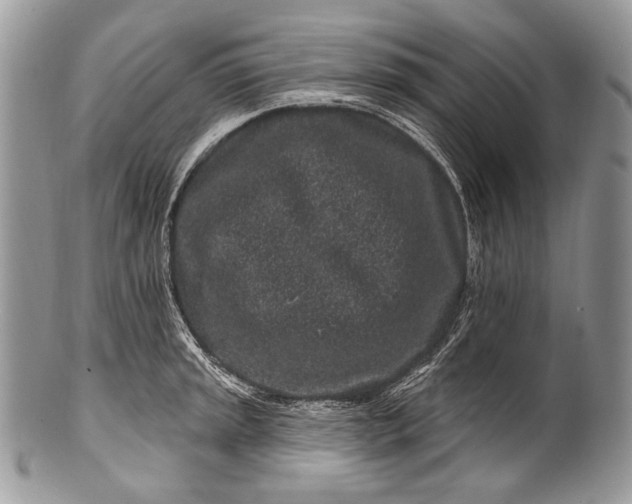 X0000100391045200806201709