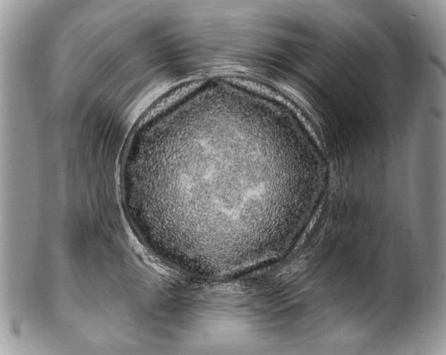 X0000100391047200806201709