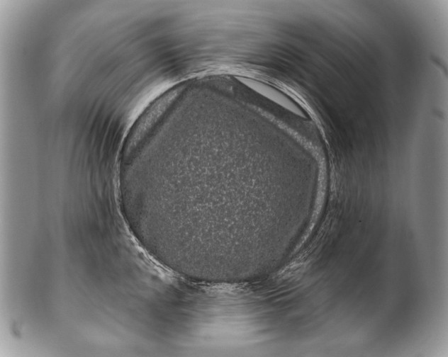 X0000100391048200806201709