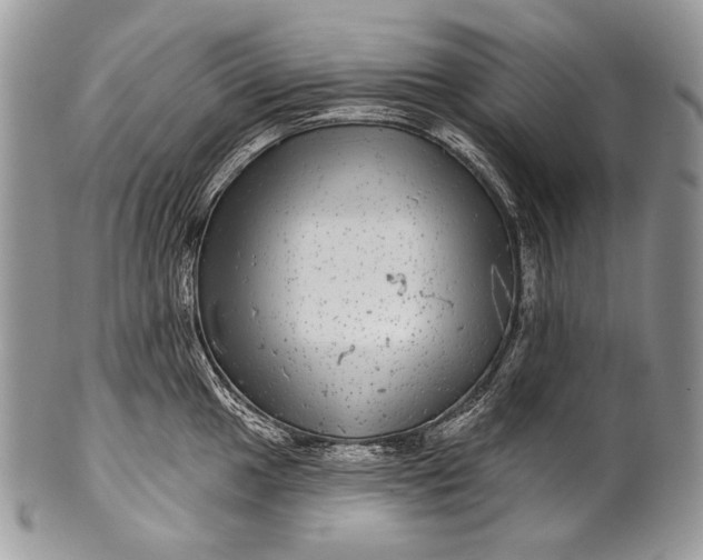 X0000100391049200806201709