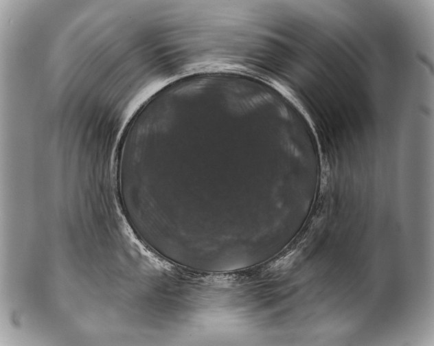 X0000100391053200806201709