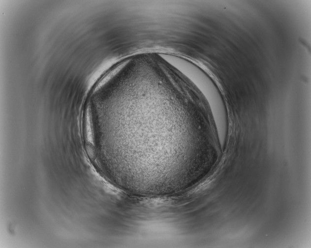 X0000100391054200806201709