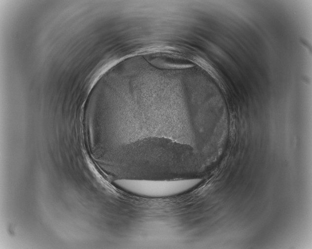 X0000100391055200806201709