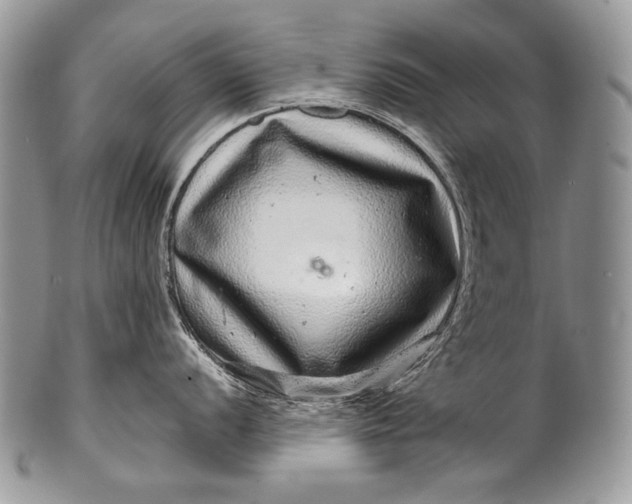 X0000100391056200806201709