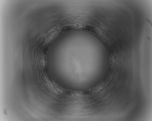 X0000100391058200806201709