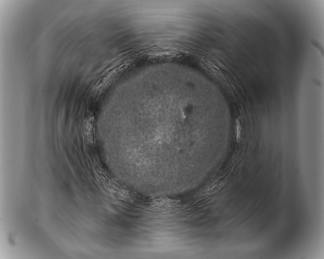 X0000100391059200806201709