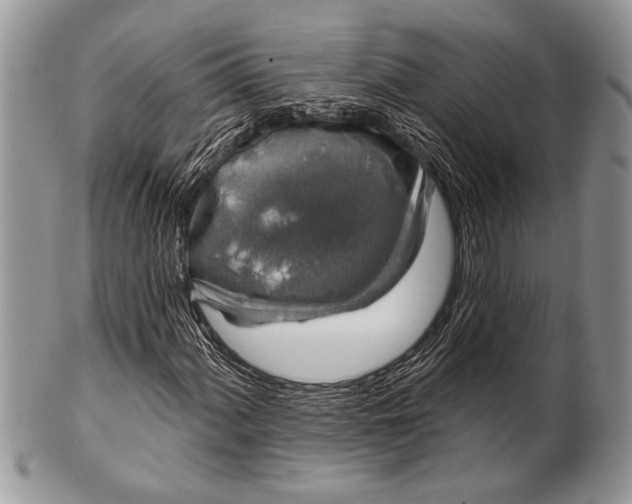 X0000100391060200806201709