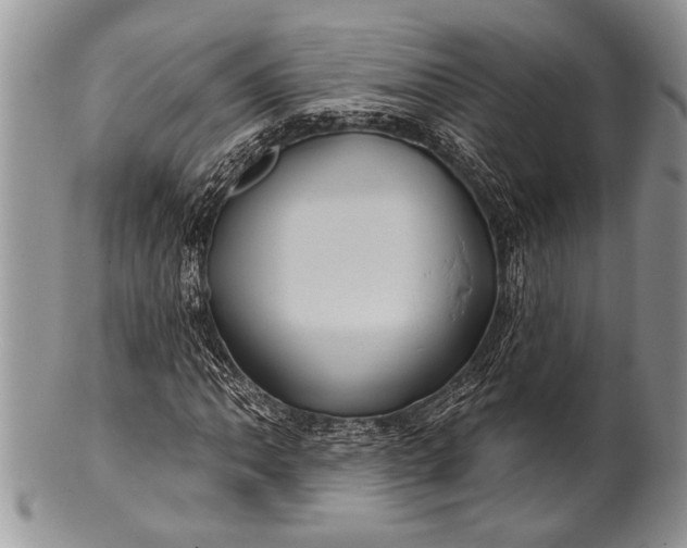 X0000100391062200806201709