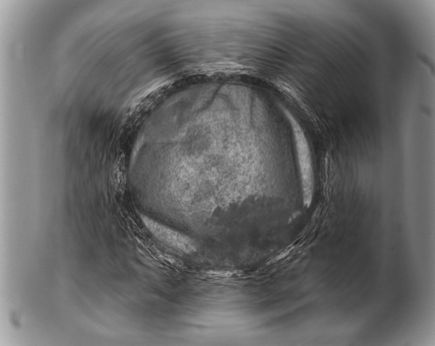 X0000100391063200806201709