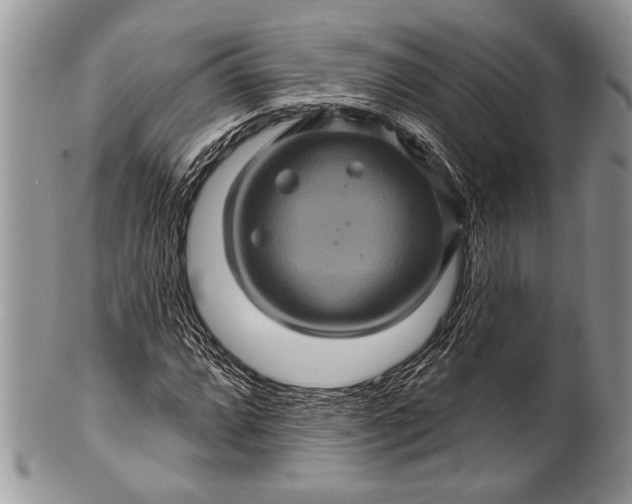 X0000100391064200806201709