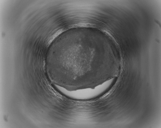 X0000100391065200806201709