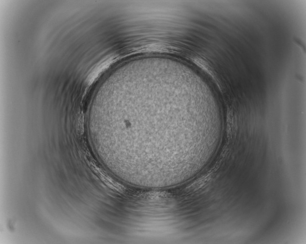 X0000100391067200806201709