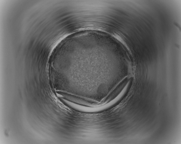 X0000100391068200806201709