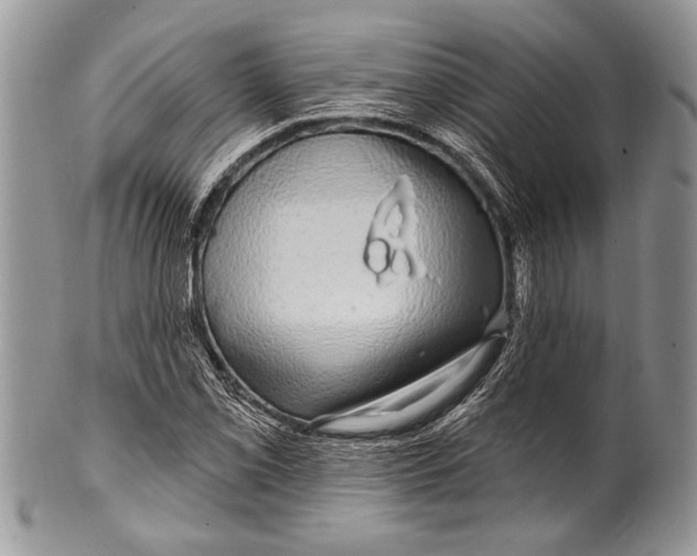 X0000100391069200806201708