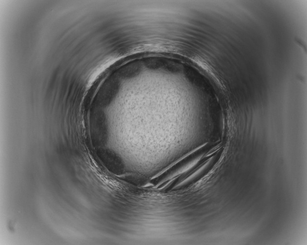 X0000100391070200806201708