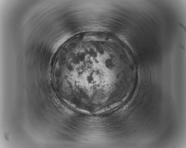 X0000100391071200806201708