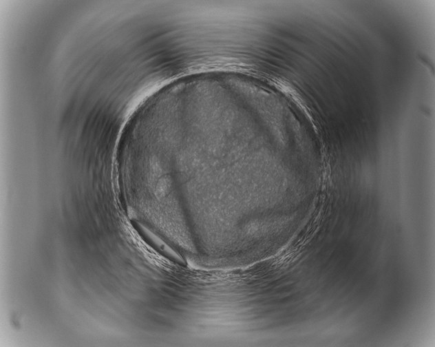 X0000100391072200806201708