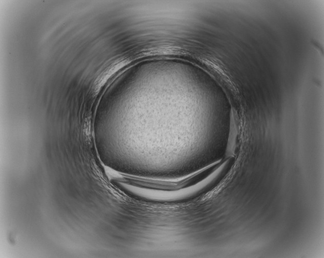 X0000100391073200806201708