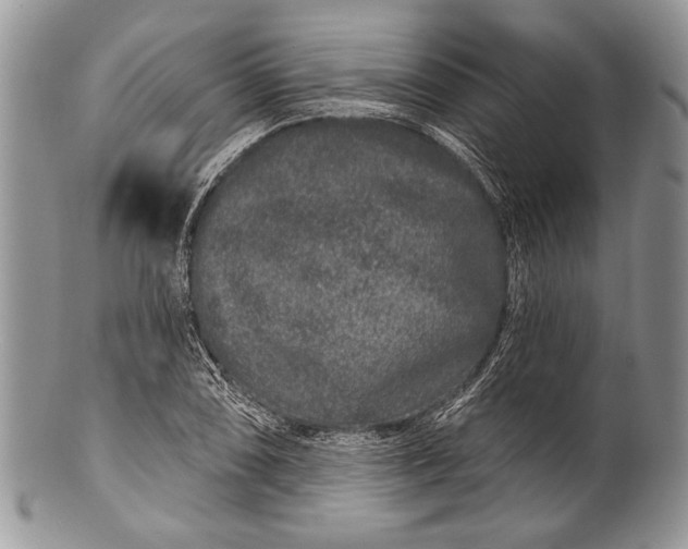 X0000100391074200806201708