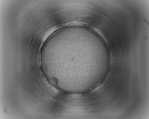 X0000100391075200806201708