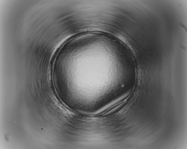 X0000100391076200806201708