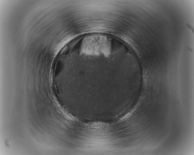 X0000100391077200806201708