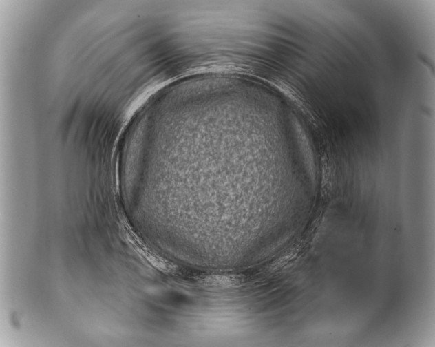 X0000100391078200806201708