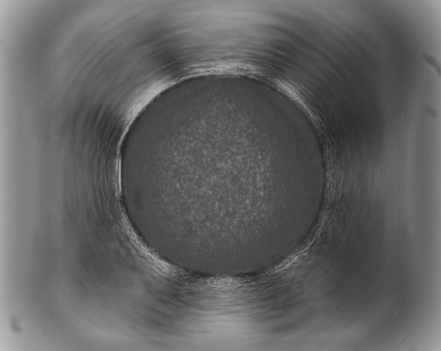 X0000100391079200806201708