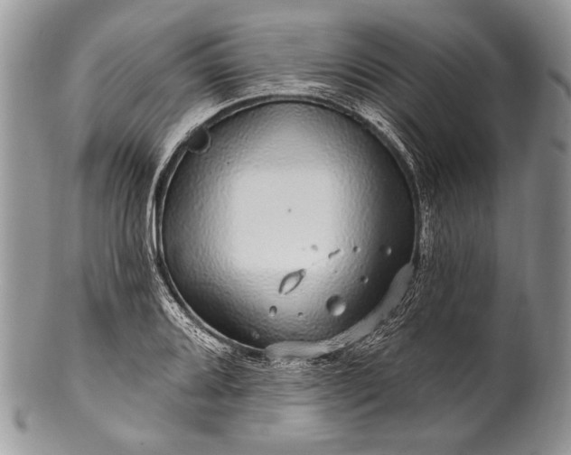 X0000100391080200806201708