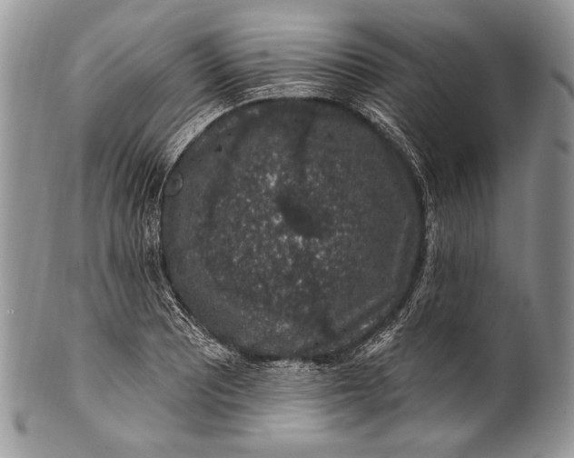 X0000100391081200806201708