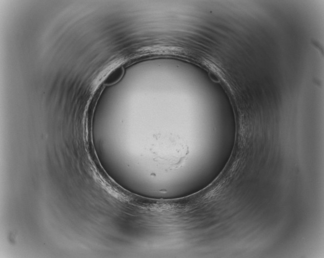 X0000100391082200806201708