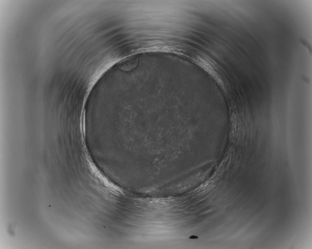 X0000100391084200806201708